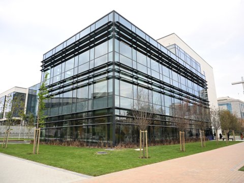 İtaliya-Azərbaycan universitetinə kim rəhbərlik edir? 