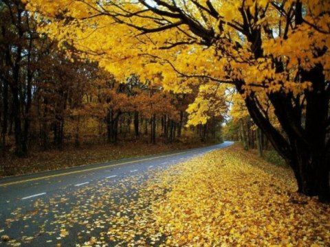 Sabahın hava prqonozu AÇIQLANDI