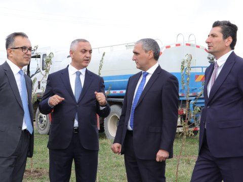 Ballıcada badam ağacları əkilib - FOTO 