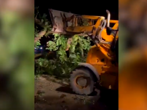 Güclü külək Lənkəran-Lerik yolunu bağladı - VİDEO