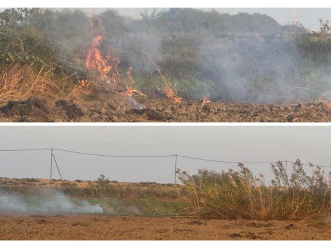Yanğın törədən şəxs məsuliyyətə cəlb olundu