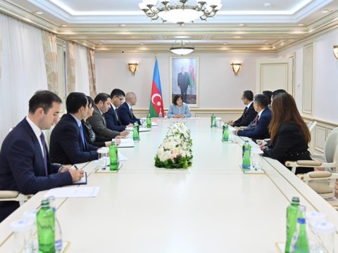 Sahibə Qafarova Ramil Həsəni qəbul etdi