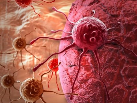 Xərçəngin yayılmasının qarşısını ala bilən peyvənd hazırlandı