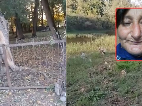 Qalınçaq kəndində nə baş verir? - VİDEO