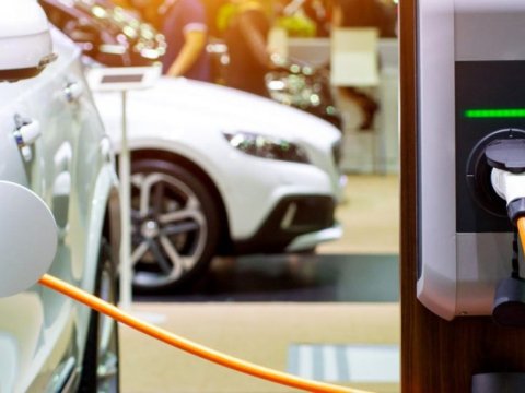 Azərbaycana gətirilən elektromobillərin sayı azalıb
