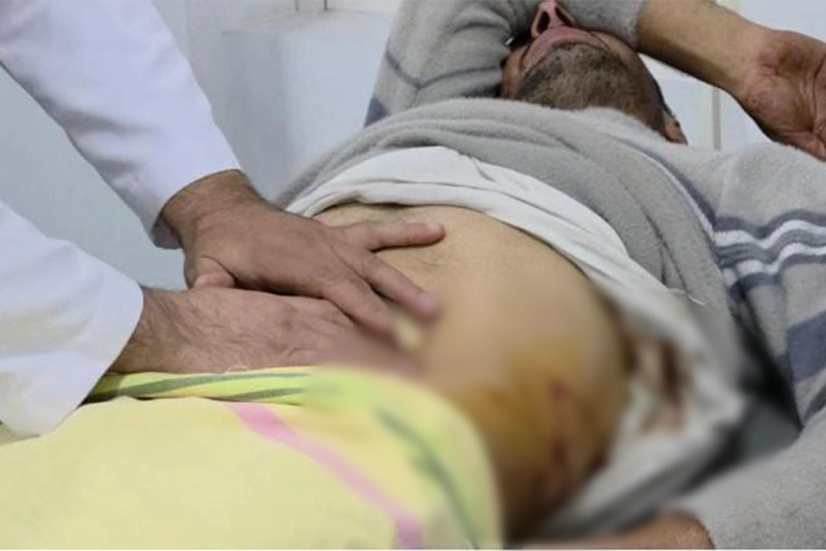 Kəndə ayı hücum etdi: yaralı var