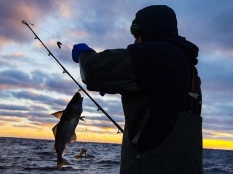 Qanunsuz balıq ovu ilə məşğul olanlar saxlanıldı