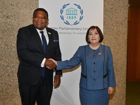 Sahibə Qafarova baş katiblə görüşdü