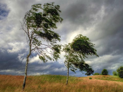 Küləkli hava ilə bağlı əhaliyə XƏBƏRDARLIQ