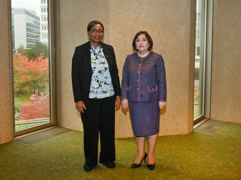 Sahibə Qafarova Cenevrədə həmkarları ilə görüşdü - FOTO