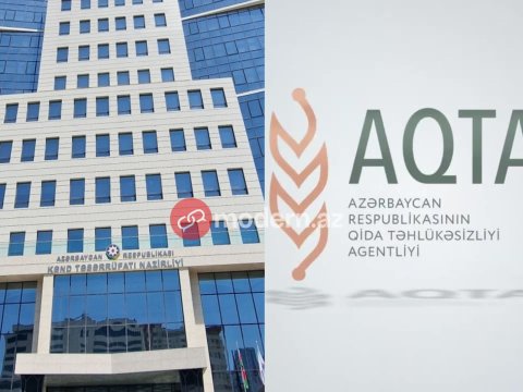 Dabaq xəstəliyi: Heyvanları kim peyvəndləməlidir? - Qurumlar məsuliyyəti bir-birinin üzərinə atdı