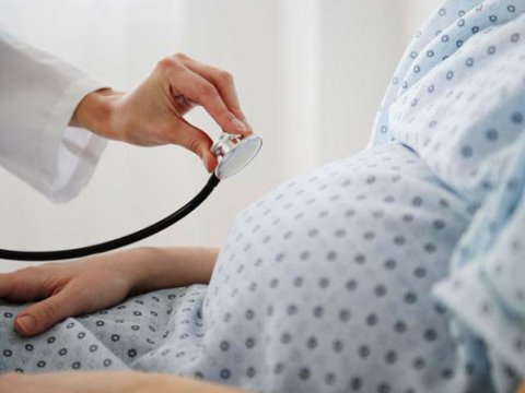 Övlad arzusu “bahalaşıb” - Süni mayalanma haqqında qanuna ehtiyac var