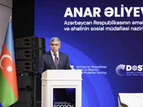 Süni intellekt “Əlillik” altsistemində