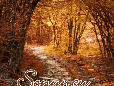 “Sonuncu hərbi əmr” təkrar nəşr olunub