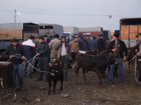 Bu gündən Azərbaycanda heyvan bazarları BAĞLANIR - SƏBƏB
