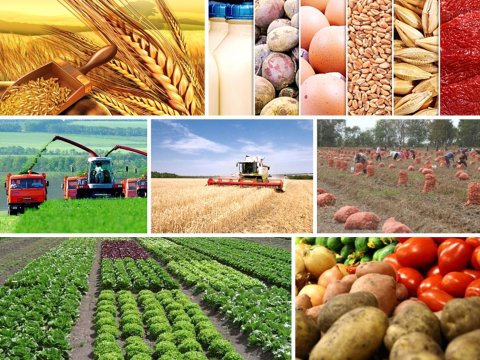 Kənd təsərrüfatında YOXLAMALAR