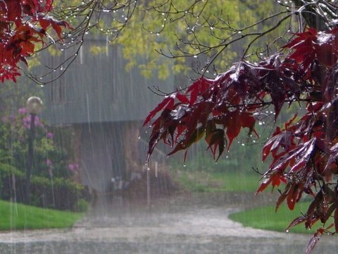 Sabah bu ərazilərdə yağış yağacaq 