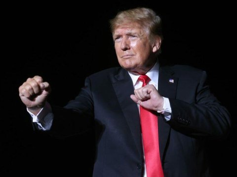 Tramp: Savaşları durdurmayı seviyorum