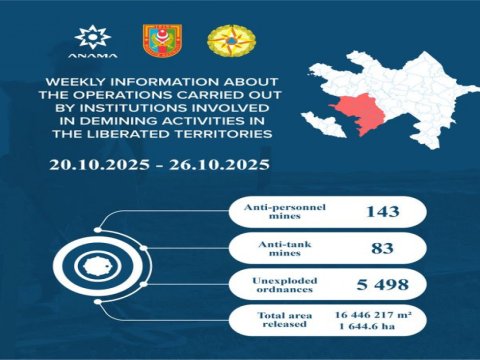 Azad edilmiş ərazilərdə daha 226 mina aşkarlanıb