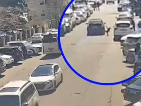 “Piyadalar, diqqətli olun!” adlı təhlükəsizlik həftəliyi keçirilir - VİDEO