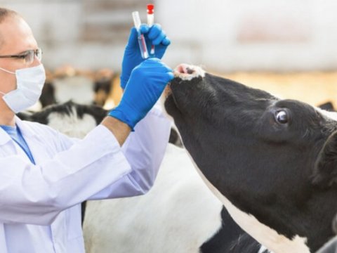 Komitə sədrindən əhaliyə ÇAĞIRIŞ