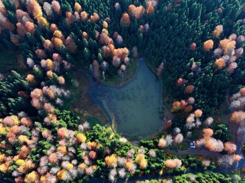 Təbiət sənət əsəri kimi  - MÖHTƏŞƏM GÖRÜNTÜLƏR 