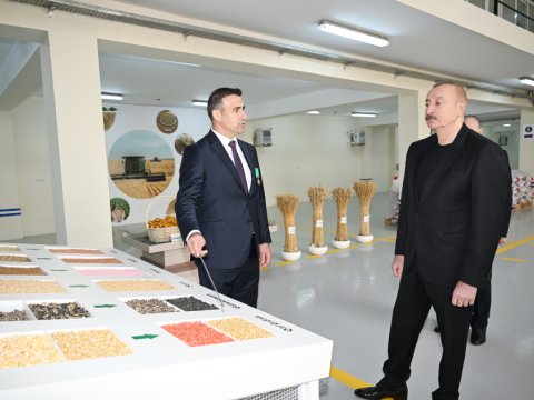 Prezident toxum istehsalı müəssisəsinin fəaliyyəti ilə tanış oldu - FOTO