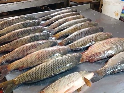 In Baku markets, fish also BECAME MORE EXPENSIVE