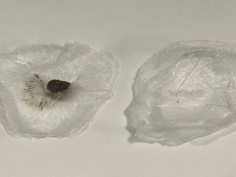 Cəzaçəkmə müəssisəsinə narkotik keçirilməsinin qarşısı alındı - FOTO