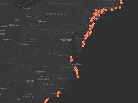 ABŞ sahillərində qəribə obyektlər aşkarlandı