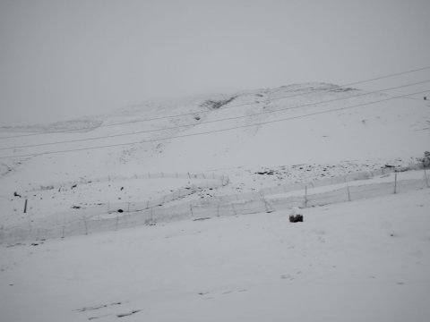 Qubaya 10 santimetr qar yağdı, mənfi 3 dərəcə şaxta var - FOTO