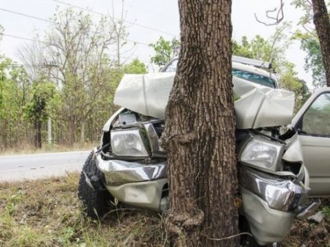 Şəkidə maşın ağaca çırpıldı - Yaralı var