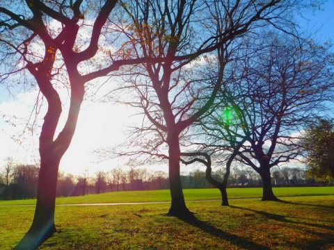 Noyabrın ilk gününün HAVASI