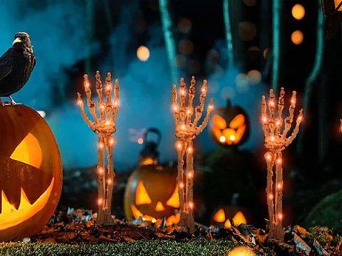 Azərbaycanda “Halloween” məhsulları neçəyədir? - QİYMƏTLƏR