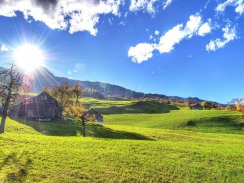 Sabahın hava proqnozu: 22 dərəcə İSTİ