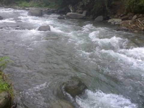 Şəkidən axan dağ çaylarında mühafizə tədbirləri