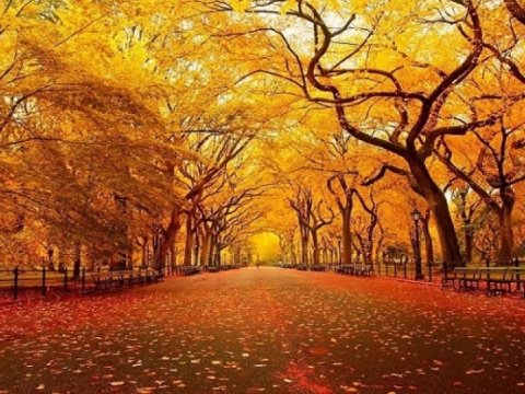 Oktyabrda Azərbaycanda müşahidə olunan hava PROQNOZU