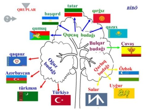 YUNESKO 15 dekabrı Türk Dili Ailəsi Günü elan edib