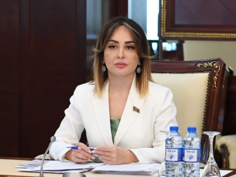 Kiber hücumlarla mübarizə strateji hədəflər sırasındadır