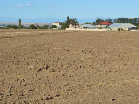 Torpaq bazarı daha şəffaf idarə olunmalıdır - DEPUTAT
