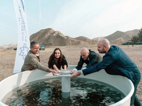 Mingəçevir su anbarına 25 min ədəd sazan balığı buraxıldı - FOTO