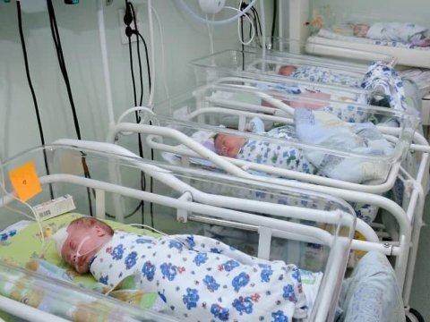 Ölkəmizdə doğum sayı AZALIB