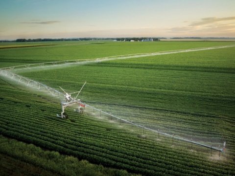 Torpaq sahələrində su çatışmazlığı - DEYİRLƏR YOXDUR