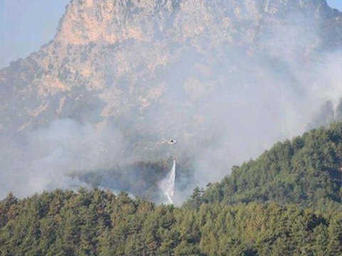 Ermənistanla sərhəddə yanğın söndürüldü