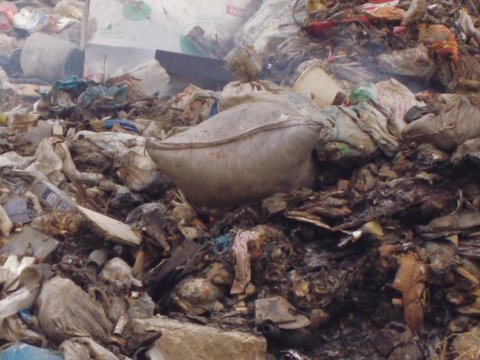 Yanmış meyiti tapılanların kimlikləri müəyyənləşdi