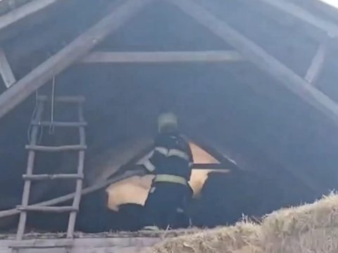 Qəbələdə tövlədə 10 ton ot bağlaması yandı - VİDEO