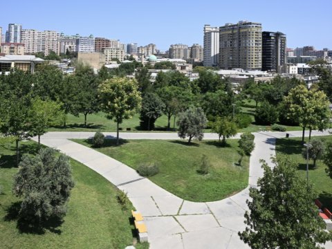 Bakıda yeniyetmə parkda yıxılaraq öldü