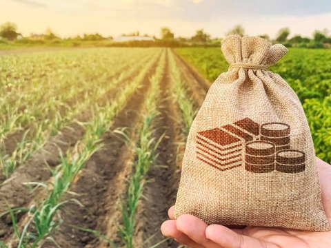 Kənd təsərrüfatı üçün 1,2 milyard