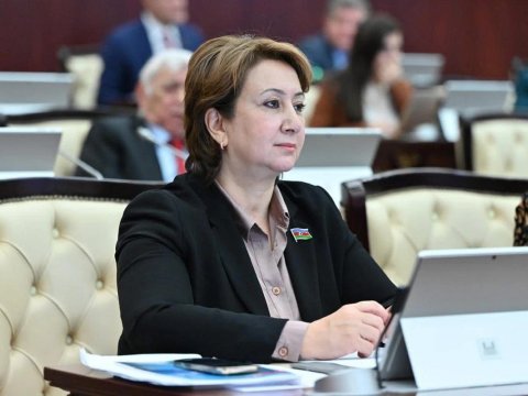 YAP-ın yaranması&nbsp;milli dövlətçilik tarixində dönüş nöqtəsidir - DEPUTAT