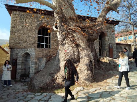 462 yaşlı xan çinar və ondan da qədim məscid - FOTO